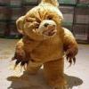 The Rabid Teddy